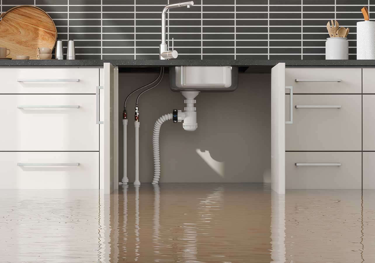 xpert restoration water damage remediation services